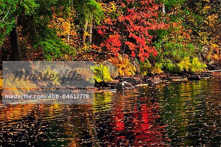 Lake shore of fall forest with colorful reflections