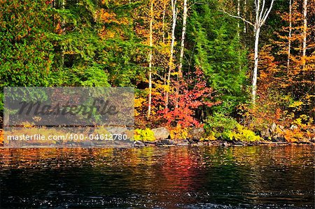 Lake shore of fall forest with colorful reflections