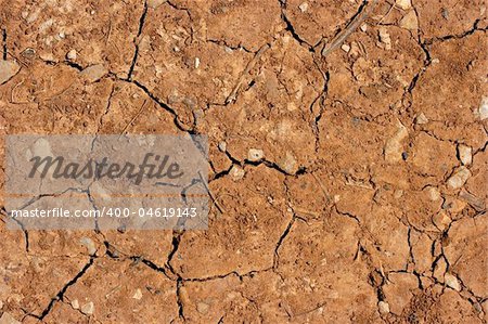 Dry brown soil texture