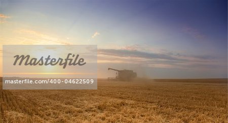 Harvest time / A combine harvester working in a wheat field