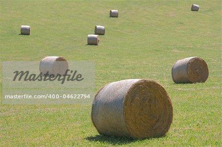 Bales of  straw, Avellaneda, Bizkaia (Spain)