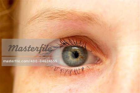 Macro shot of woman eye looking forward