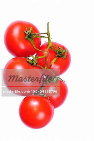 tomato branch