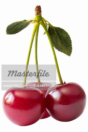 Three cherries extreme close-up shot isolated over white background (path isolated)