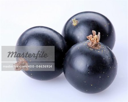 currant black; Objects on white background