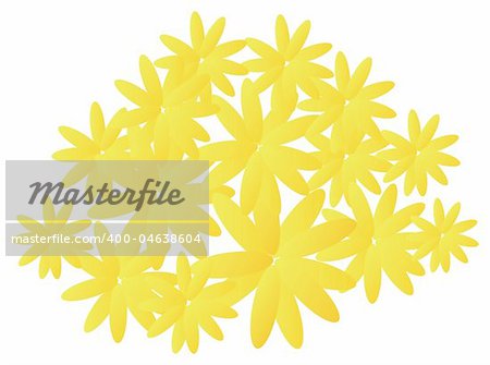 a group of yellow daisy in a white background