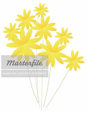 illustration drawing of yellow daisy flower in white background