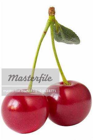 Two ripe cherries isolated over white background (clipping path isolation)