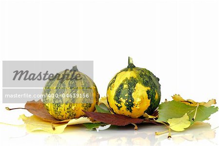 Decorative pumpkins and autumn leaves before white background.