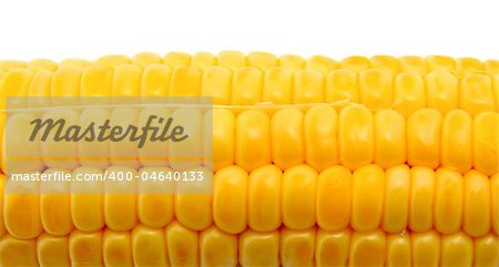 Fresh corn isolated on a white background