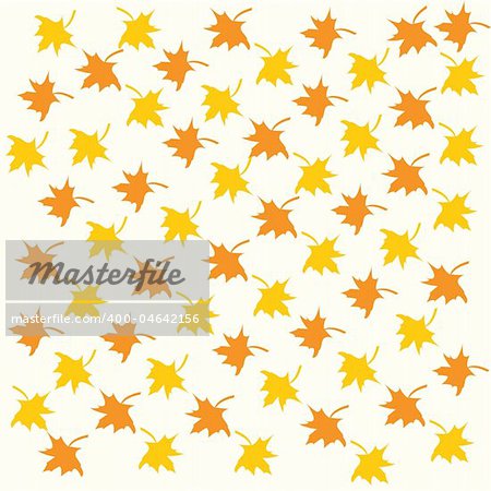 Vector background with color maple leaves.