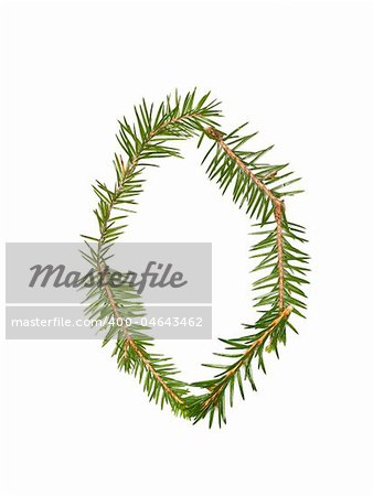 Spruce twigs forming the letter 'O' isolated on white