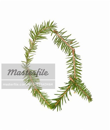 Spruce twigs forming the letter 'Q' isolated on white