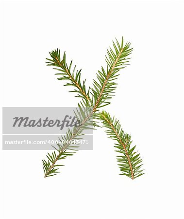 Spruce twigs forming the letter 'X' isolated on white