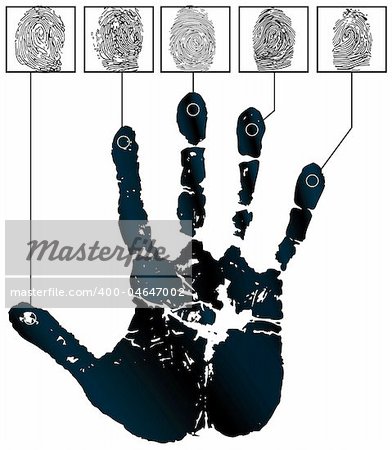 Vector handprints and five fingerprints