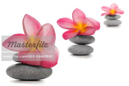 Three pebble piles with beautiful pink frangipani flowers