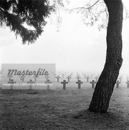graveyard with rows of crosses and trees in the autumn mist monochrome film grain