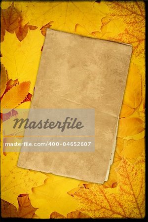 Grunge background with autumn leaves