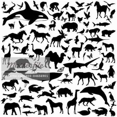 Big collection of different animals silhouettes