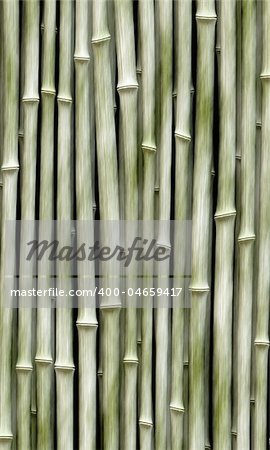 long vertical bamboo branches in a row