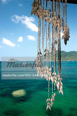 seashells hanging on ropes from a tropical bungalow's roof