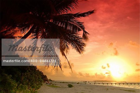 Beautiful colorful sunset over sea and jetty seen under the palm in the Maldives