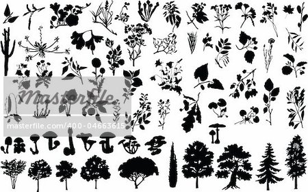 Vector silhouettes of herbs, trees, bushes, flowers, and mushrooms