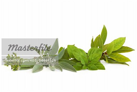 Thyme,  sage, oregano and bay leaf herbs,  isolated over white background.