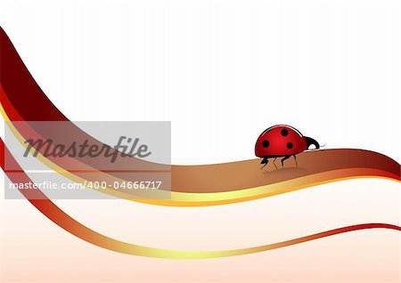 a ladybug on gradient abstract lines made in illustrator cs4