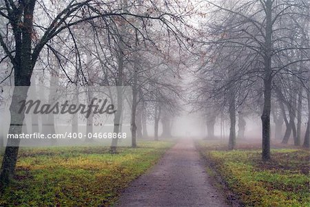 Footpath on an early misty morning in the fall