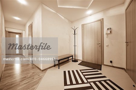 beautiful corridor with a door in a modern apartment