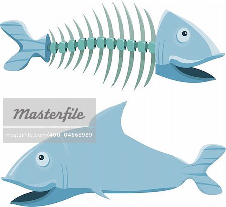 Fish with his fishbone, on white background