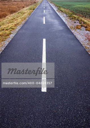 Narrow asphalt road with diminishing perspective