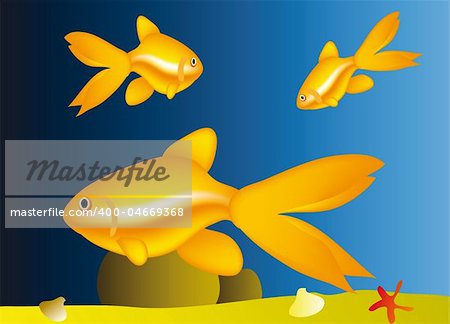 life under water - nice aquarium with golden fish