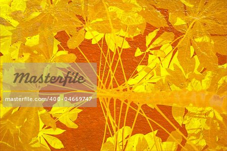 Yellow tapioca on orange background with text space