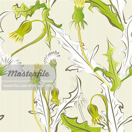floral seamless pattern with dandelion flowers