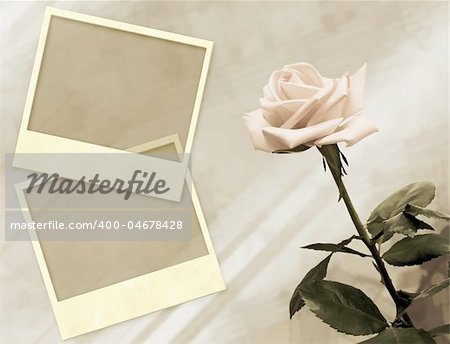 Grunge background with rose and photoframes