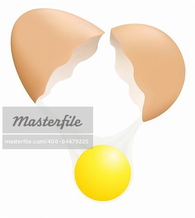 Vector illustration of a broken egg with yolk