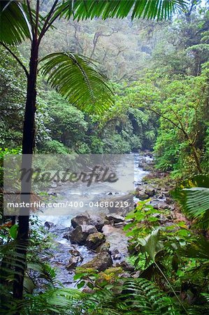 Tropical rainforest with mountain river. Costa Rica.