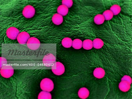 3d rendered close up of isolated bacteria
