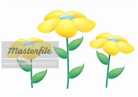 yellow wild flowers on the white background