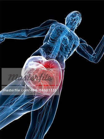 3d rendered x-ray illustration of a running man with highlighted knee