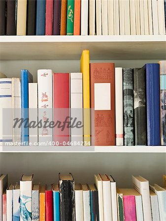 Bookshelf with several books