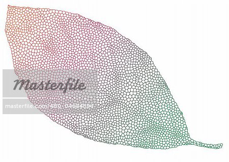 colorful leaf with delicate texture, vector