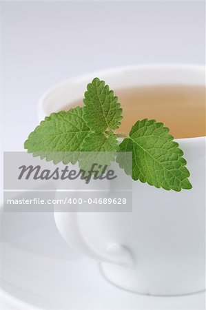 Healthy herbal tea made from freshly picked lemon balm