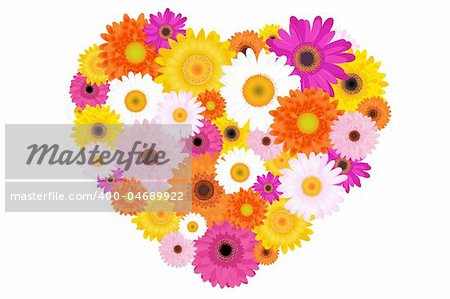 Heart Made Of Colorful Daisies, Isolated On White