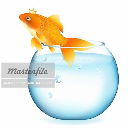 Dreaming Goldfish In Aquarium, Isolated On White