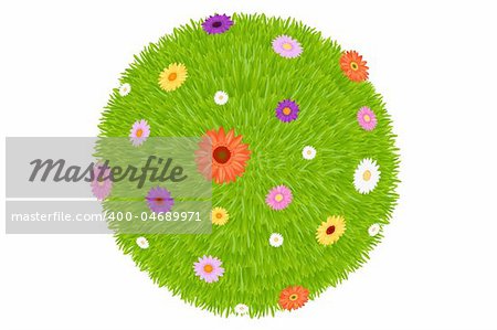 Grass Ball With Colourful Flowers, Isolated On White