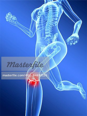 3d rendered illustration of a running skeleton with highlighted knee