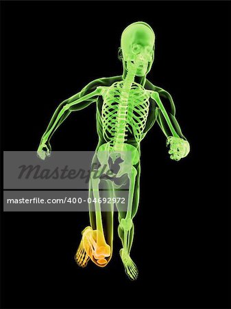 3d rendered illustration of a running skeleton with highlighted knee